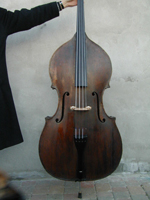 Monterumici