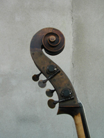 Monterumici