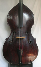 Salvadori