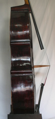 Salvadori
