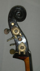 Salvadori