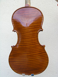 Clicca per ingrandire Violino