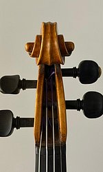 Clicca per ingrandire Luigi Mozzani Cento 1912